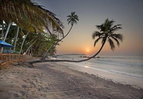 Nilwella Palms - Fabulous Beachfront Villa