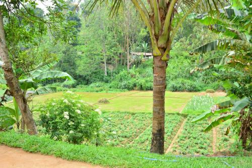 Ithara Guest House