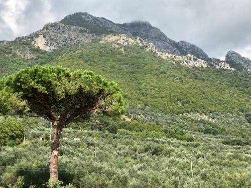 Hostal Affittacamere Il Colle