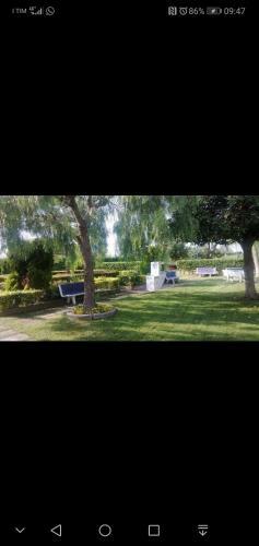 Residence Baia Blu Falcone