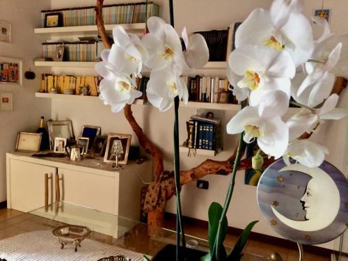 Hostal Da Coco E Mini,l'angolo Delle Ceramiste In Viaggio - Secondo Piano