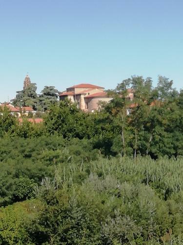 B&B Mark