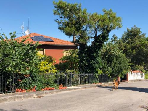 La Casetta Del Tesoro