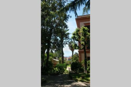 Il Guardiano Di Villa Falco