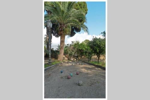 Il Guardiano Di Villa Falco
