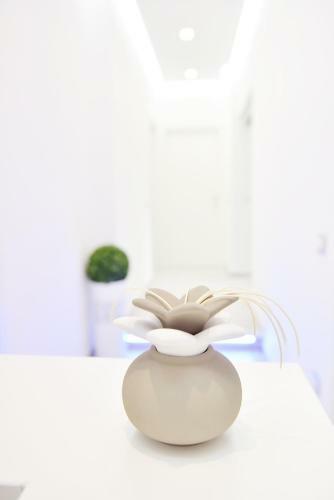 Bed & Breakfast Insula House