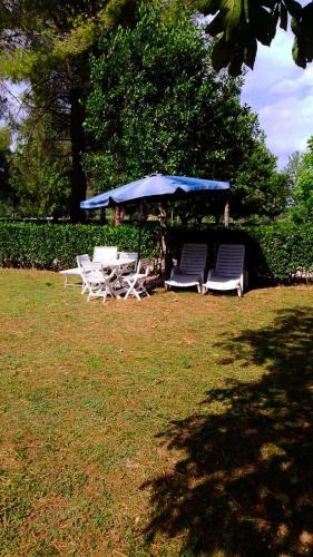 Villa Flavia