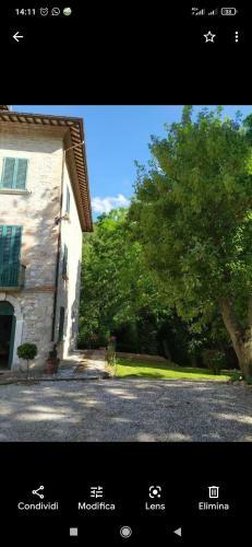 Villa Flavia