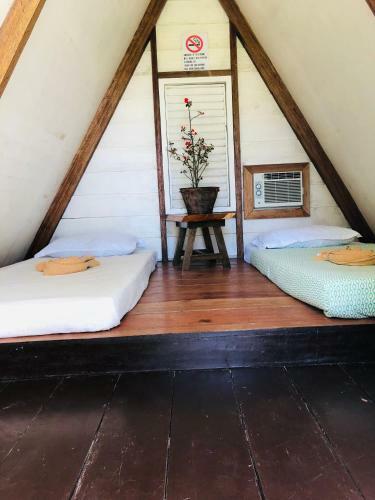 Hotel Camp Soteria Resort
