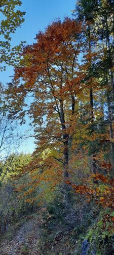 Apartamento Appartamenti Paolo