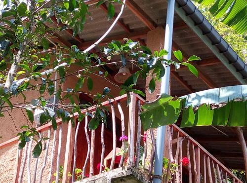 Bed & Breakfast Kavishka Guest House