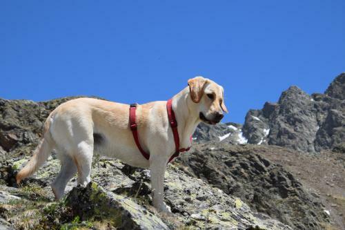 Agroturismo Niederhaeusererhof