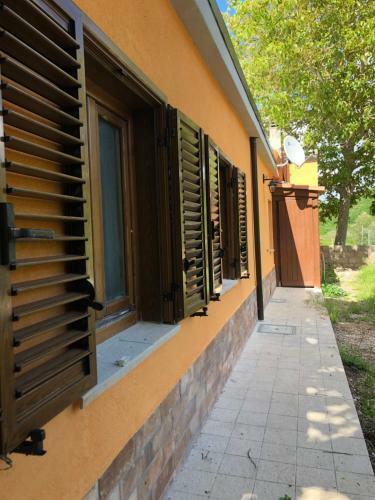 B&B Ollyfarm