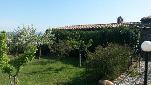 Agroturismo Podere Mammoleta
