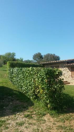 Agroturismo Podere Mammoleta