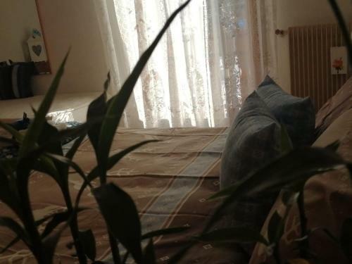 Apartamento Casa Minela