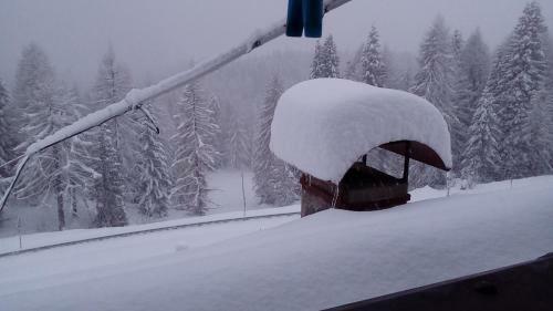 Apartamento Piccolo Igloo