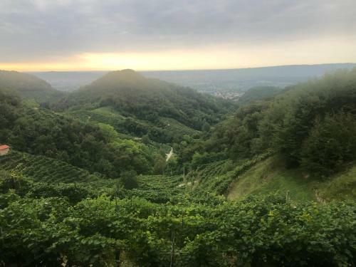 Apartamento Vinai Uno