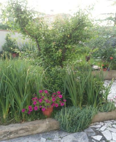 Apartamento La Terrazza Del Silenzio