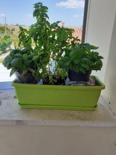 Apartamento La Terrazza Del Silenzio