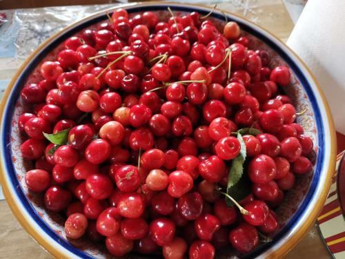 Bed & Breakfast Masseria Le Querciole