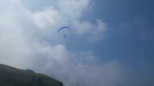 Al Bellavista.baldo