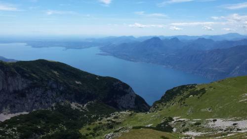 Al Bellavista.baldo