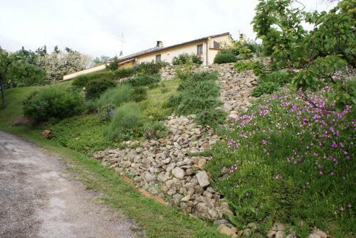 B&B Salvarosa