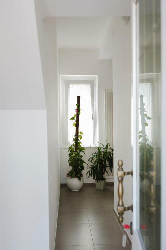 B&B "al Colle 11"