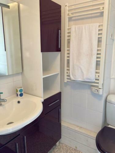 Apartamento Superbe Studio En Plein Centre Ville