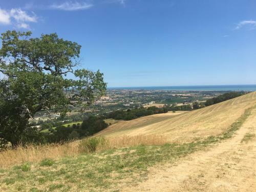 Agroturismo Colle Dei Falchi
