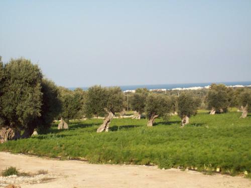 Apartamento Masseria Ricci