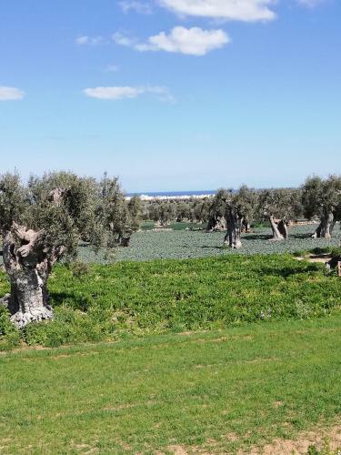 Apartamento Masseria Ricci