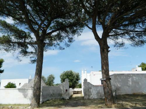 Bed & Breakfast Masseria Purgatorio