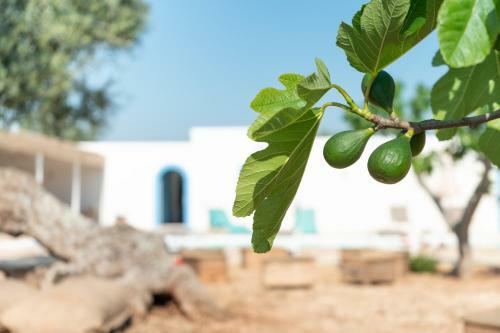 Villa Masseria Cippone