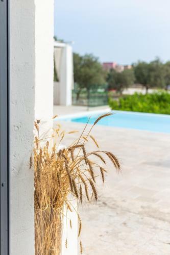 Villa Masseria Limonaia & Spa