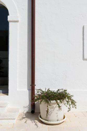 Villa Masseria Limonaia & Spa