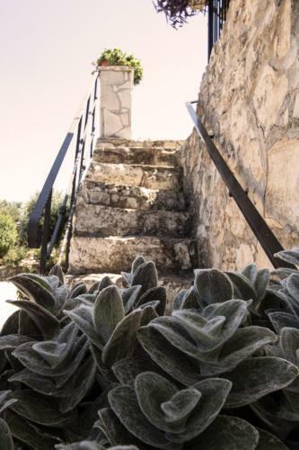 Apartamento Casa Campagna