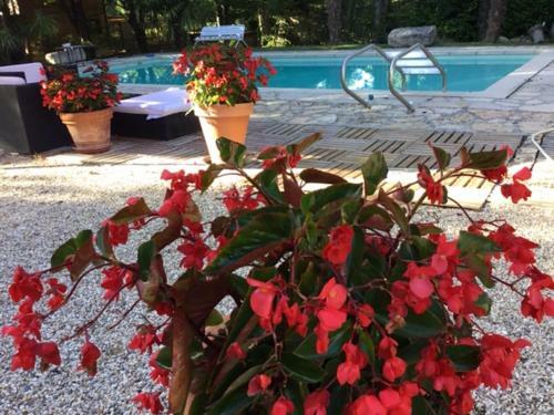 Apartamento Gite Au Village