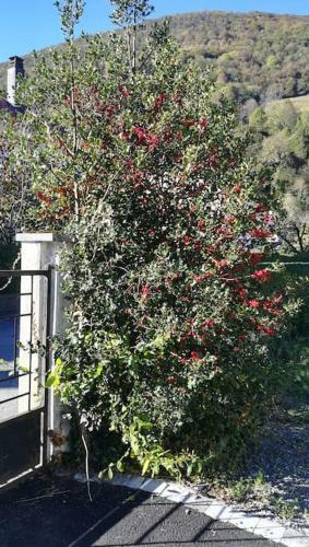 Maison Jardin Priv�e Avec Commerces 10 Mns A Pied