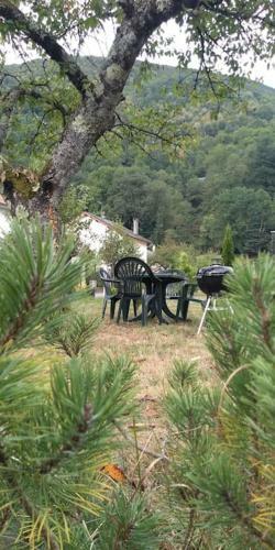 Maison Jardin Priv�e Avec Commerces 10 Mns A Pied