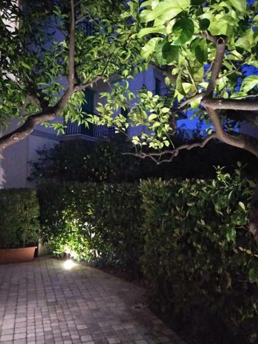 Garden House