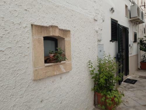 Apartamento Appartamento Butterfly