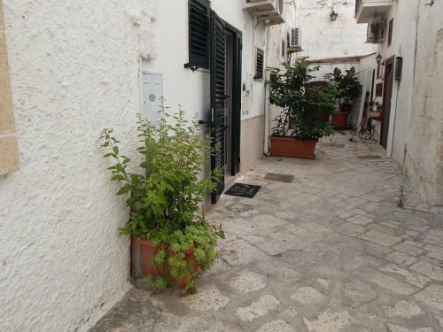 Apartamento Appartamento Butterfly