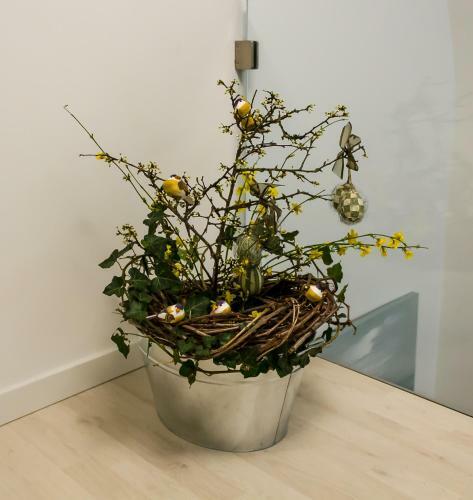 Apartamento La Rosa Del Corso