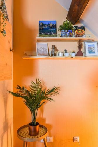 Apartamento L'agronome