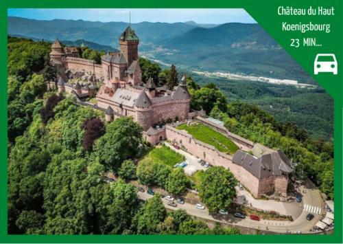 Apartamento Aux Plaisirs D'alsace Centre Historique
