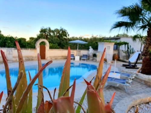 Apartamento Dimora Di Tours