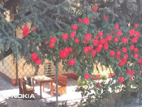 Apartamento Villa Lilli 3