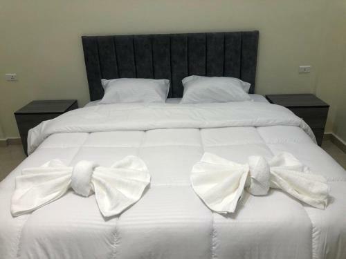Bed & Breakfast Hospitable Comfortable Guesthouse